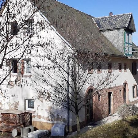 Villa Nordiques De La Welche Orbey Exterior foto